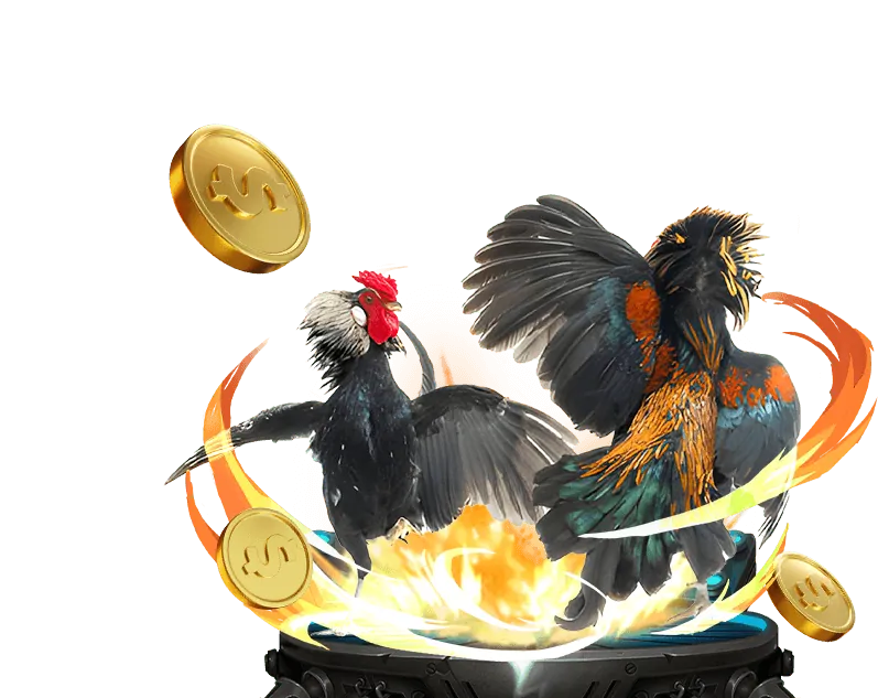 Sự kiện đặc biệt theo mùa giải Rio66